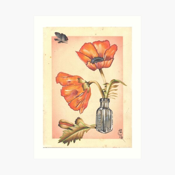 loose poppies in poison jar Art Print
