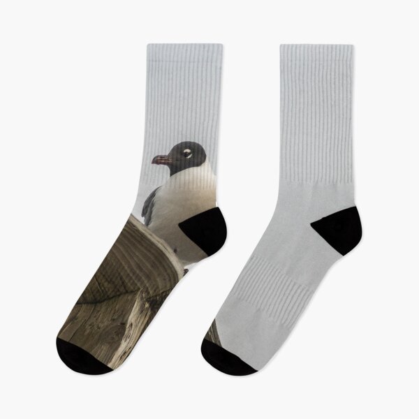 Item preview, Beach penguin designed and sold by KensLensDesigns.