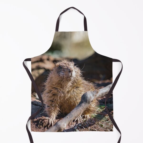 Item preview, TheSentinel designed and sold by KPcaptures.