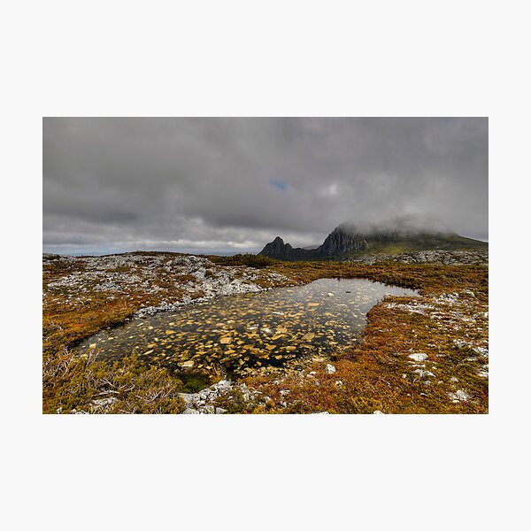 Item preview, Wild Tassie. designed and sold by Warren  Patten.