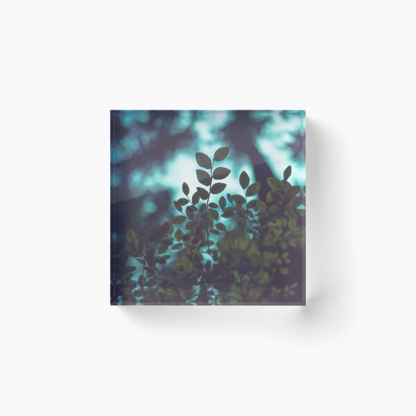 Item preview, Mysterious Teal Forest designed and sold by Li Kovacs.