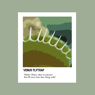 Artwork thumbnail, Venus flytrap by nd-creates