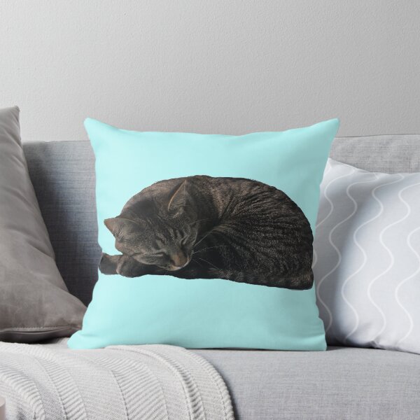 Item preview, Comfy Kitty  designed and sold by Amanda1775.