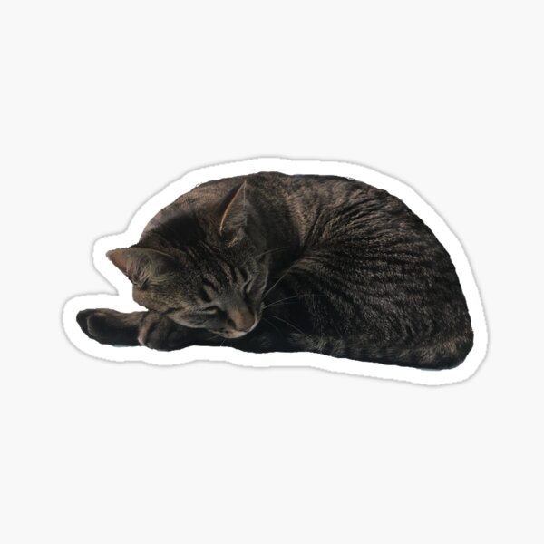 Item preview, Comfy Kitty  designed and sold by Amanda1775.
