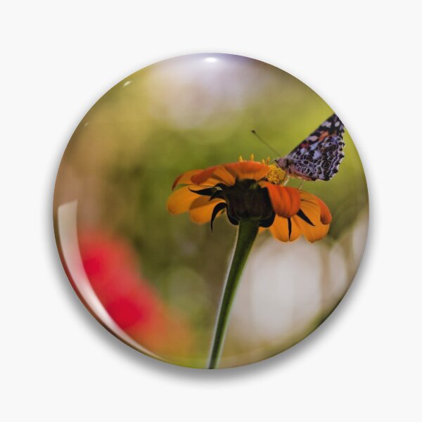 Artikelvorschau, Schmetterling auf Tithonia entworfen und verkauft von Denice Breaux.