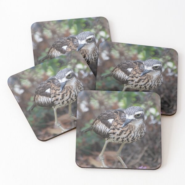 Item preview, Beautiful Bush Stone Curlew Native Australian Bird designed and sold by JNADesign.