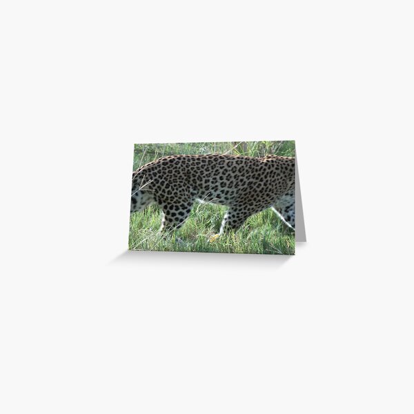 A beautiful coat Greeting Card