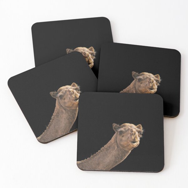 Item preview, Camel head looking at you designed and sold by timg58.