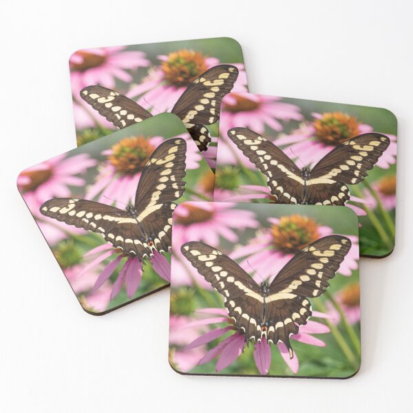 Item preview, Giant Swallowtail designed and sold by KPcaptures.