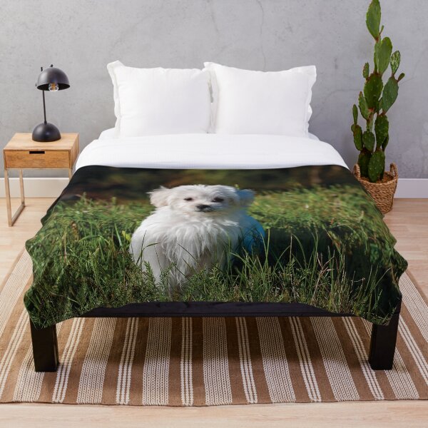 Item preview, Maltese White Puppy designed and sold by designs89.