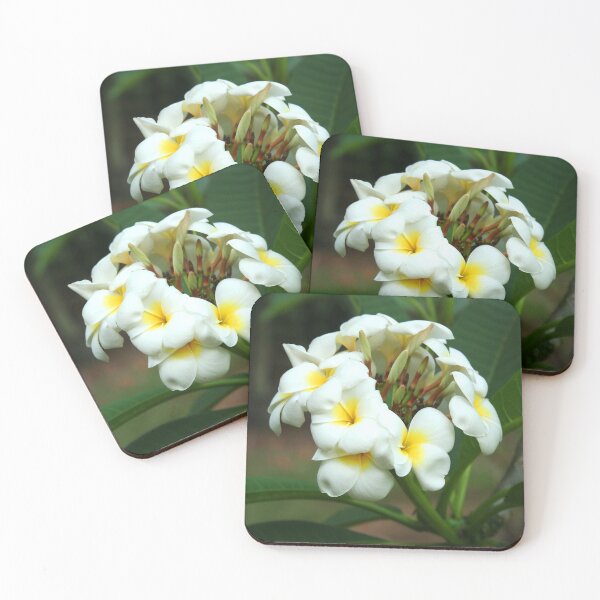 Item preview,  Frangipani in the garden designed and sold by mhall.