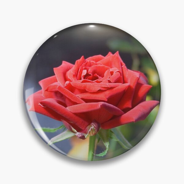 Item preview, Rose in Bloom designed and sold by mhall.