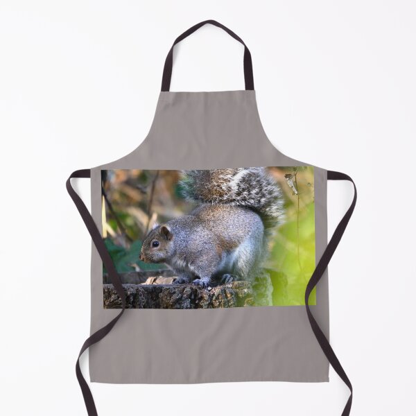 Item preview, Chubby Squirrel... designed and sold by RichImage.