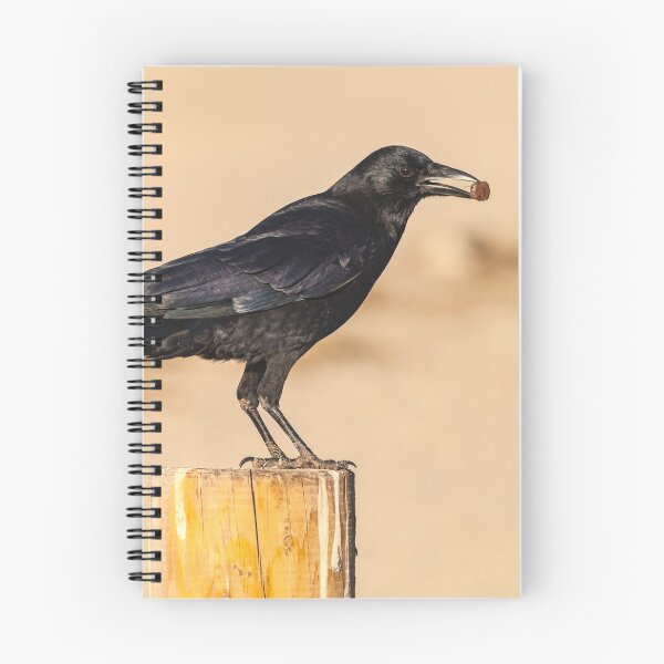 Item preview, American Crow designed and sold by jvnimages.