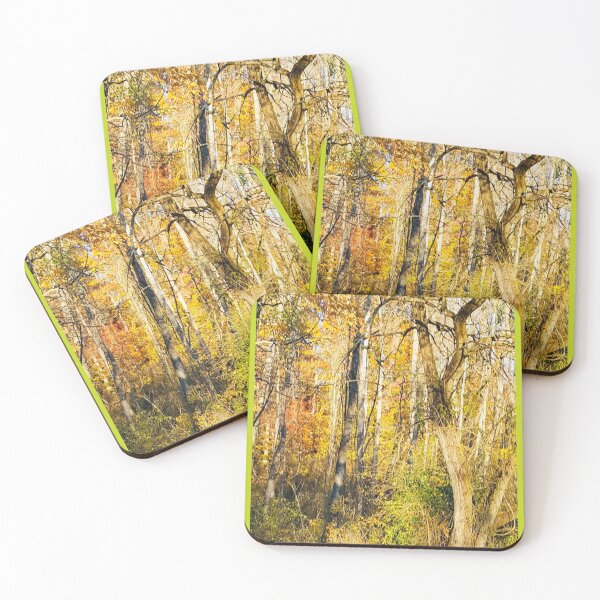 Item preview, Fall forest scene Photograph  designed and sold by MatchTheDrapes.