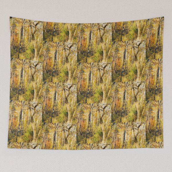Item preview, Fall forest scene Photograph  designed and sold by MatchTheDrapes.