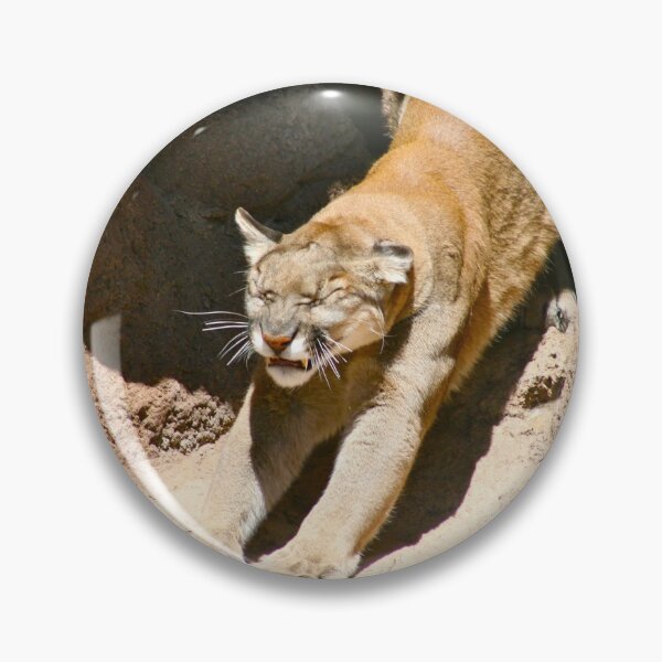 Item preview, Cougar Stretch... designed and sold by RichImage.