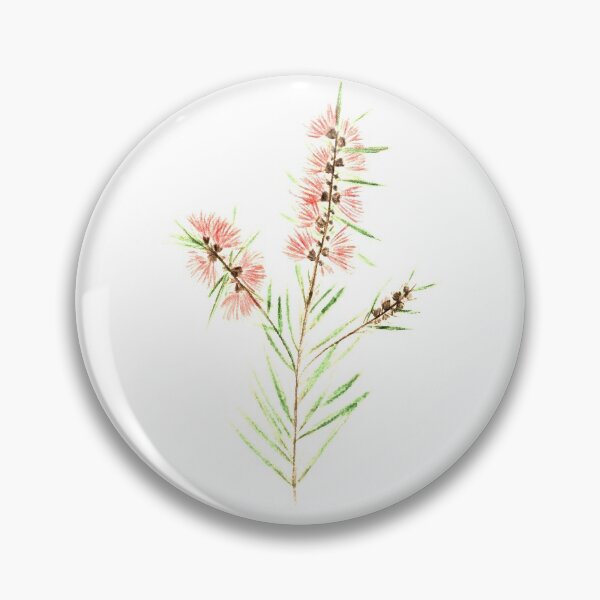 Item preview, Australian Bottlebrush designed and sold by Aereal.