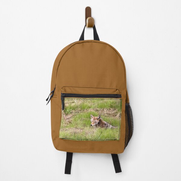 Item preview, Coyote in The Grass.. designed and sold by RichImage.
