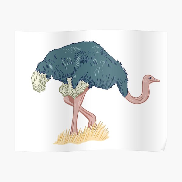 Elegant Ostrich Poster