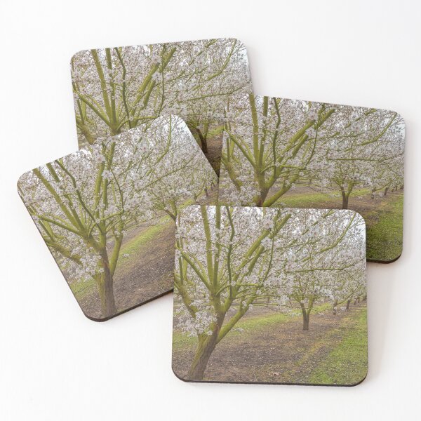 Item preview, Almond Blossoms designed and sold by jvnimages.