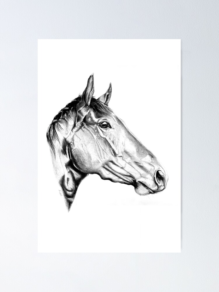 Thumbnail 1 of 3, Poster, Stallion designed and sold by KARLNASH.