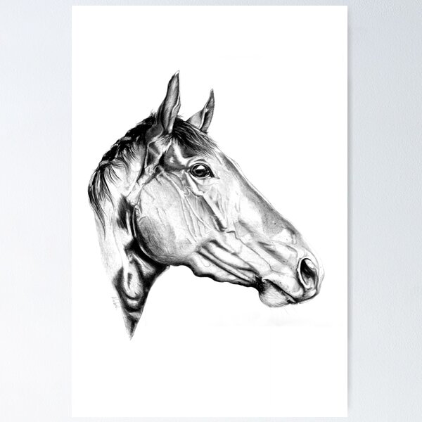 Item preview, Stallion designed and sold by KARLNASH.