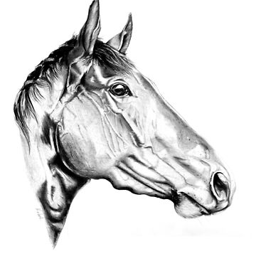 Artwork thumbnail, Stallion by KARLNASH