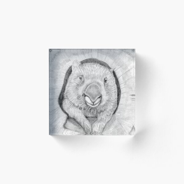 Wombat Acrylic Block