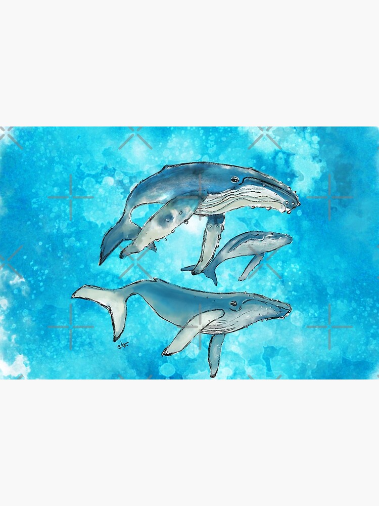 Humpback whale family by ebozzastudio