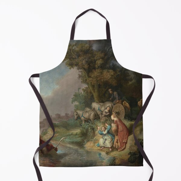 Item preview, The Abduction of Europa - Rembrandt Harmensz. van Rijn designed and sold by themasters.