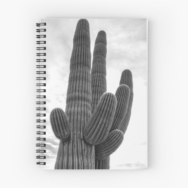 Item preview, saguaro bw 2 designed and sold by jvnimages.
