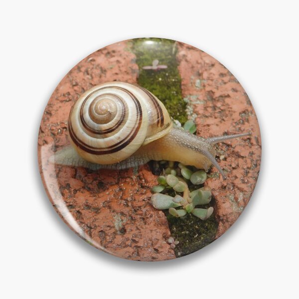 Item preview, Light Snail designed and sold by Kyle Lefort.