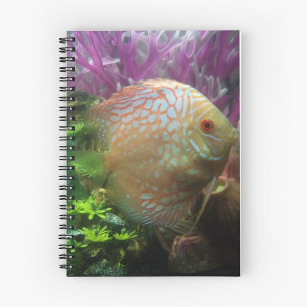 Item preview, Discus Fish - 'SunSpot' designed and sold by Artaith-21.