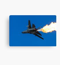 Dump and Burn Canvas Print