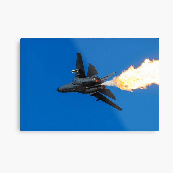 Dump and Burn Metal Print