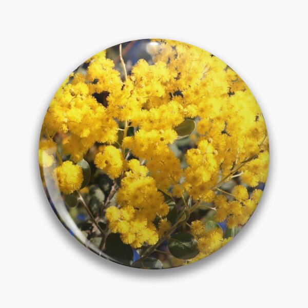 Item preview, Flowering Wattle designed and sold by bradm50.