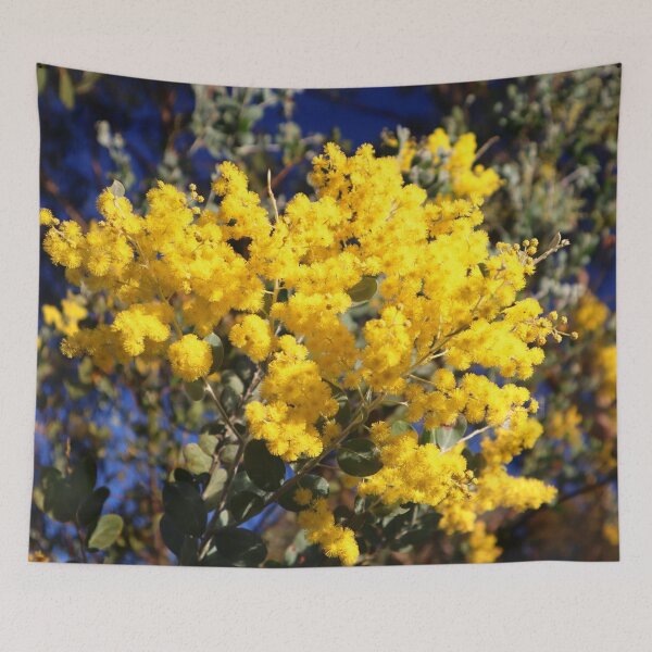 Item preview, Flowering Wattle designed and sold by bradm50.
