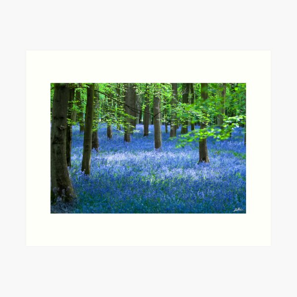 BlueBell Art Print
