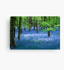 BlueBell Leinwanddruck