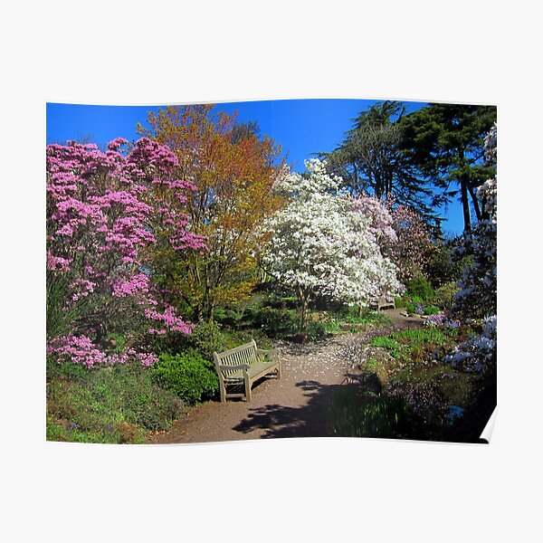 A Bench with a View Poster