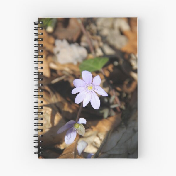 Item preview, Purple wild flower vinca in the forest	 designed and sold by EstelleRossetti.