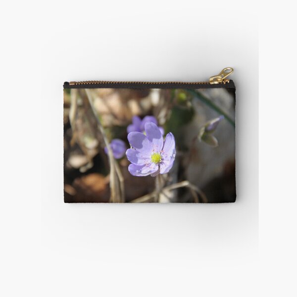 Item preview.