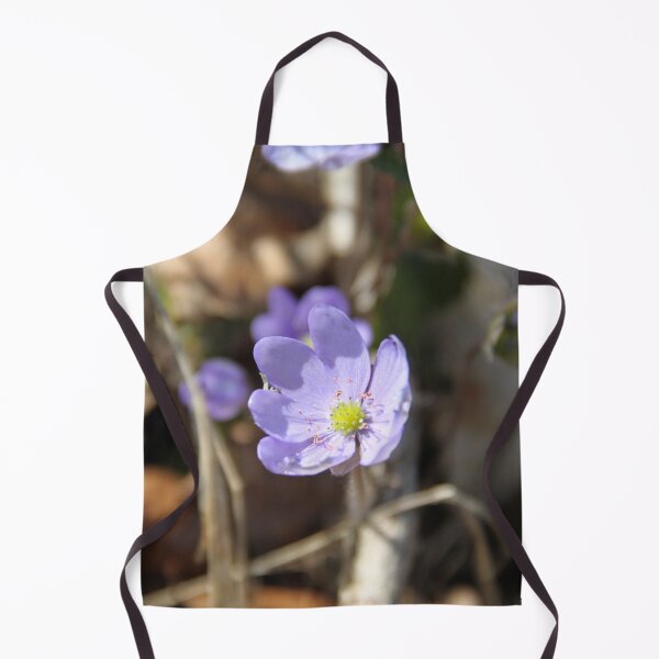 Item preview.