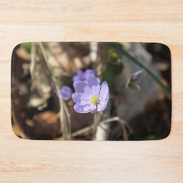 Item preview.