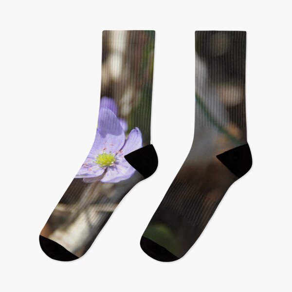 Item preview.