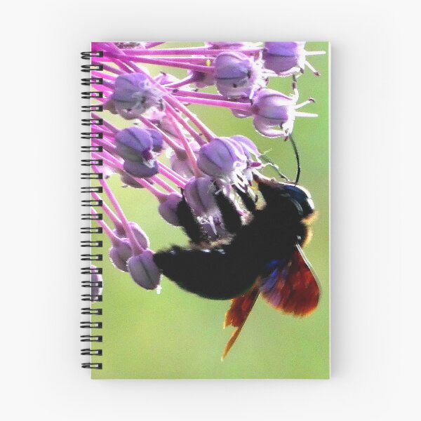 Item preview, Carpenter bee on giant chive designed and sold by angel1.