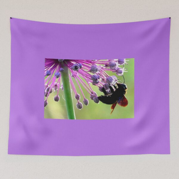 Item preview, Carpenter bee on giant chive designed and sold by angel1.