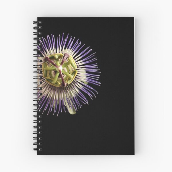 Artikelvorschau, Passionsblume. entworfen und verkauft von Paul Pasco.
