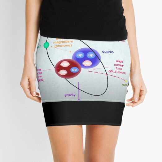 The laws of Physics underlying everyday life are completely known Mini Skirt